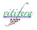 Vitifera Logo