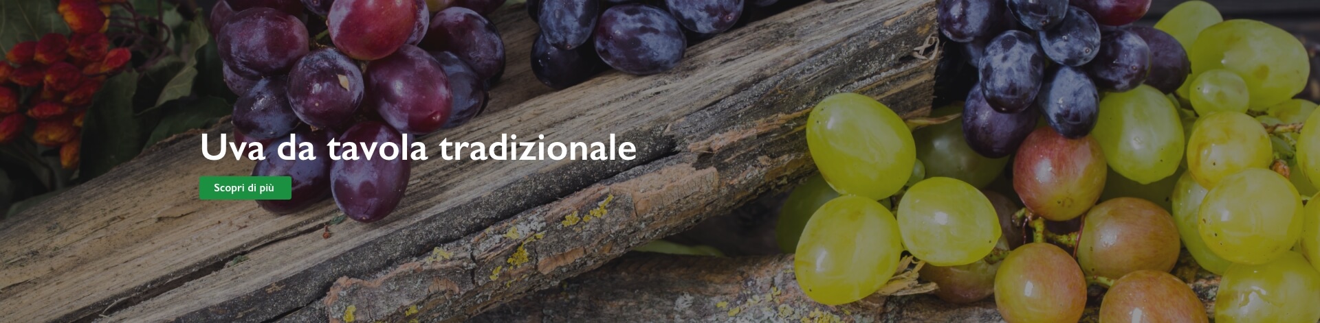 uva da tavola tradizionale