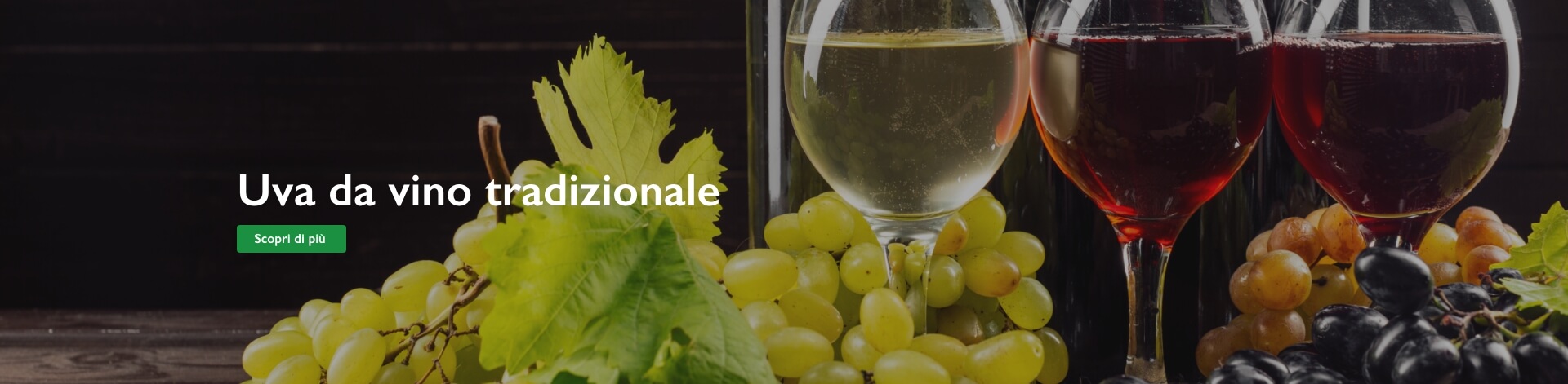 uva da vino tradizionale