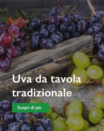 uva da tavola tradizionale